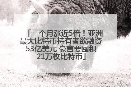 一个月涨近5倍！亚洲最大比特币持有者欲融资53亿美元 豪言要囤积21万枚比特币